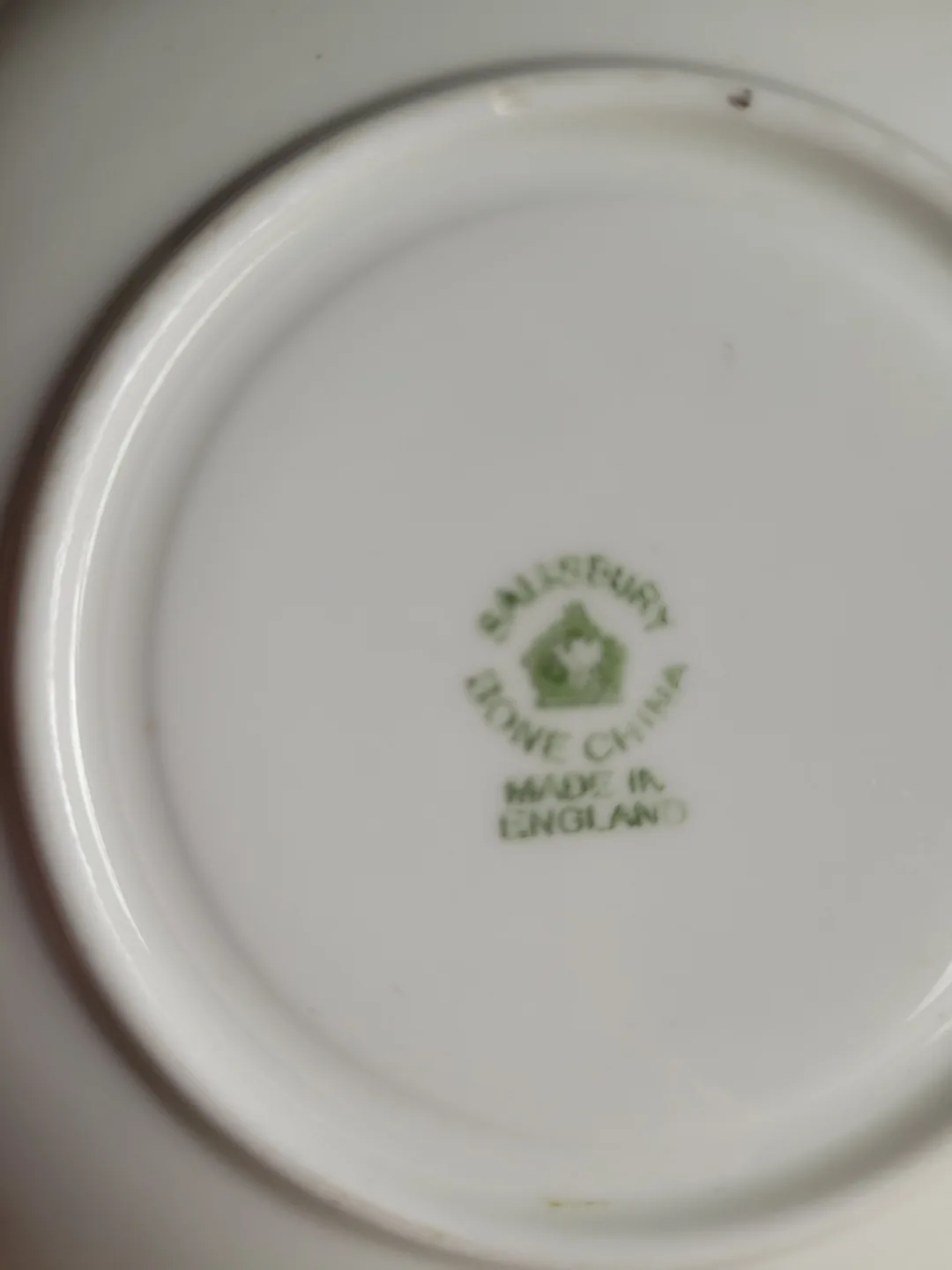 Vintage Salisbury Bone China Demitasse Cup And Saucer – Floral image indicator(3)