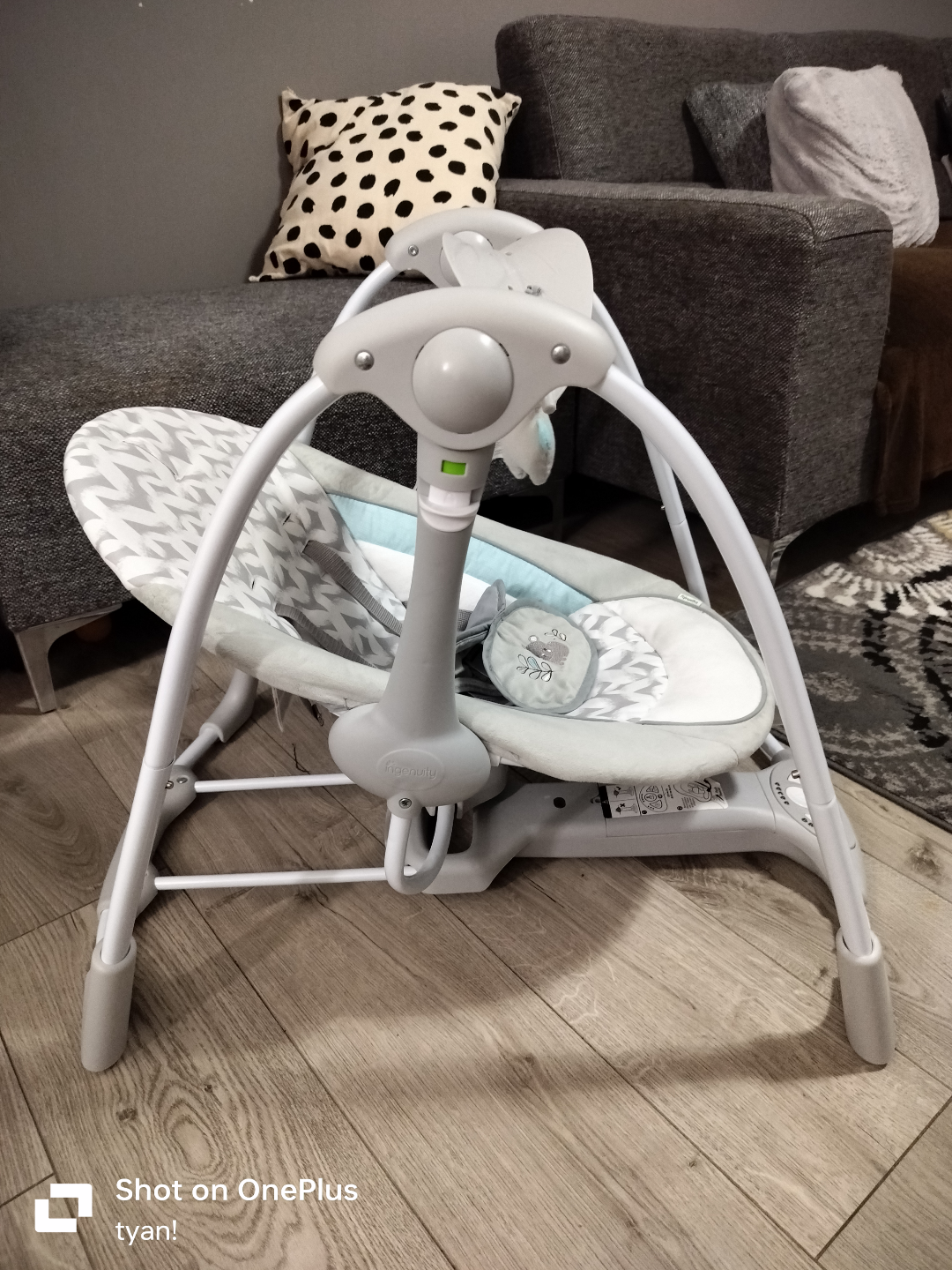 Ingenuity Baby Swing - photo 3
