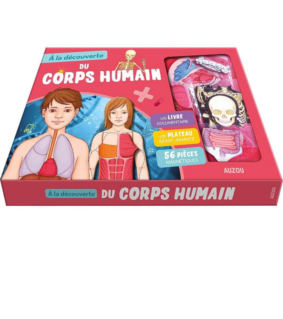 Educational Human Body Anatomy Kit - 56 Magnetic Pieces