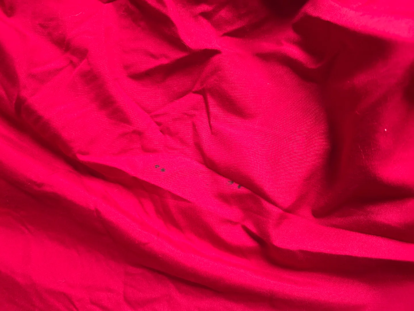 🥕[freecycle] Red twin Fitted Sheets image indicator(2)