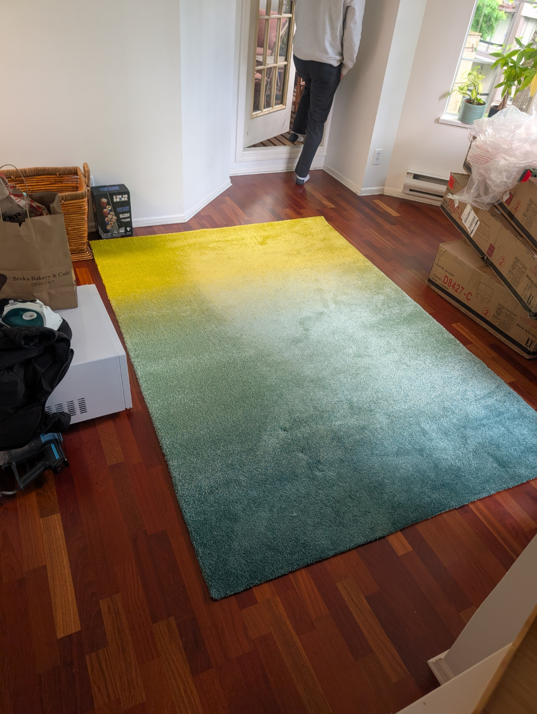 IKEA HOTELRUM Rug - Yellow and Teal Ombre