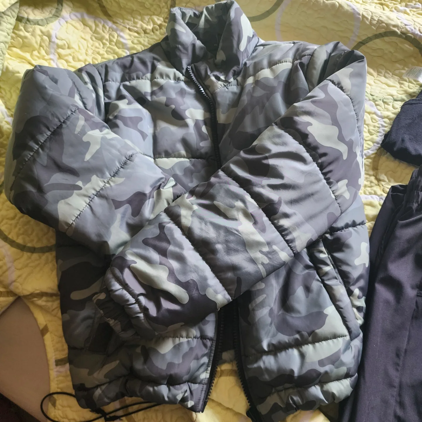 FREEEE. Girls hair accessories/clothing & Dog Harness  FREEEE image indicator(4)