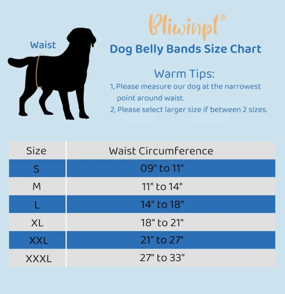 Reusable Dog Diaper - Starry Night Design - Size S and L image indicator(4)