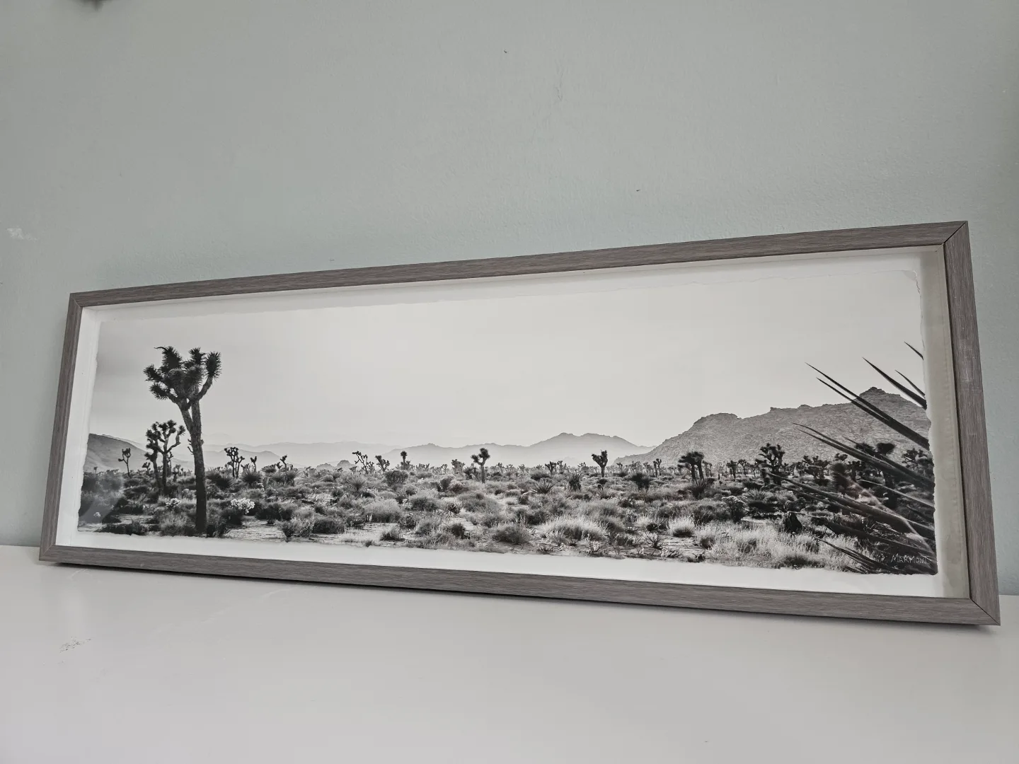 Black and White Mojave Desert Landscape Framed Print thumbnail