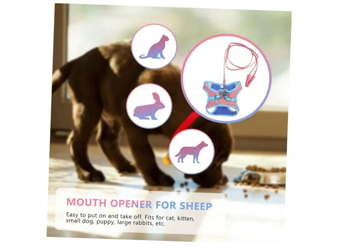 Dog Harness and Leash Set - Pink and Blue - Size L image indicator(6)