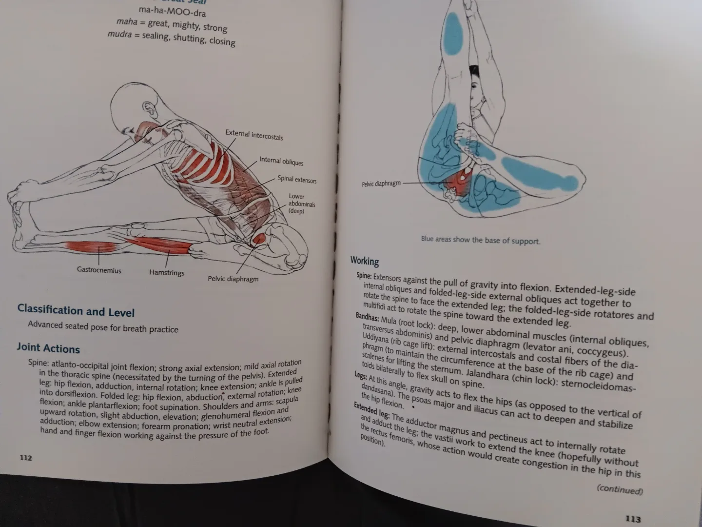 Yoga Anatomy by Leslie Kaminoff - Human Kinetics image indicator(3)