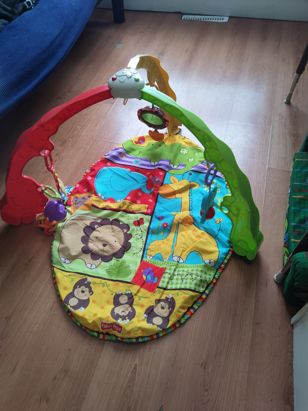 Fisher-Price Rainforest Jumperoo Playmat #freecycle