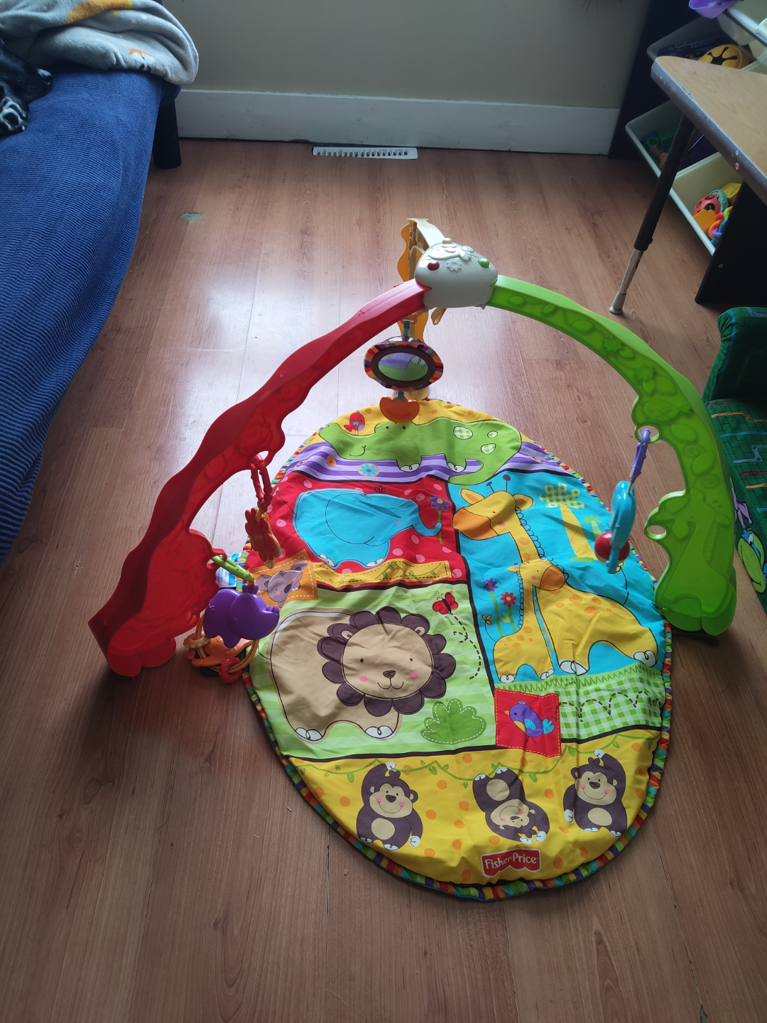 Fisher-Price Rainforest Jumperoo Playmat #freecycle - photo 2