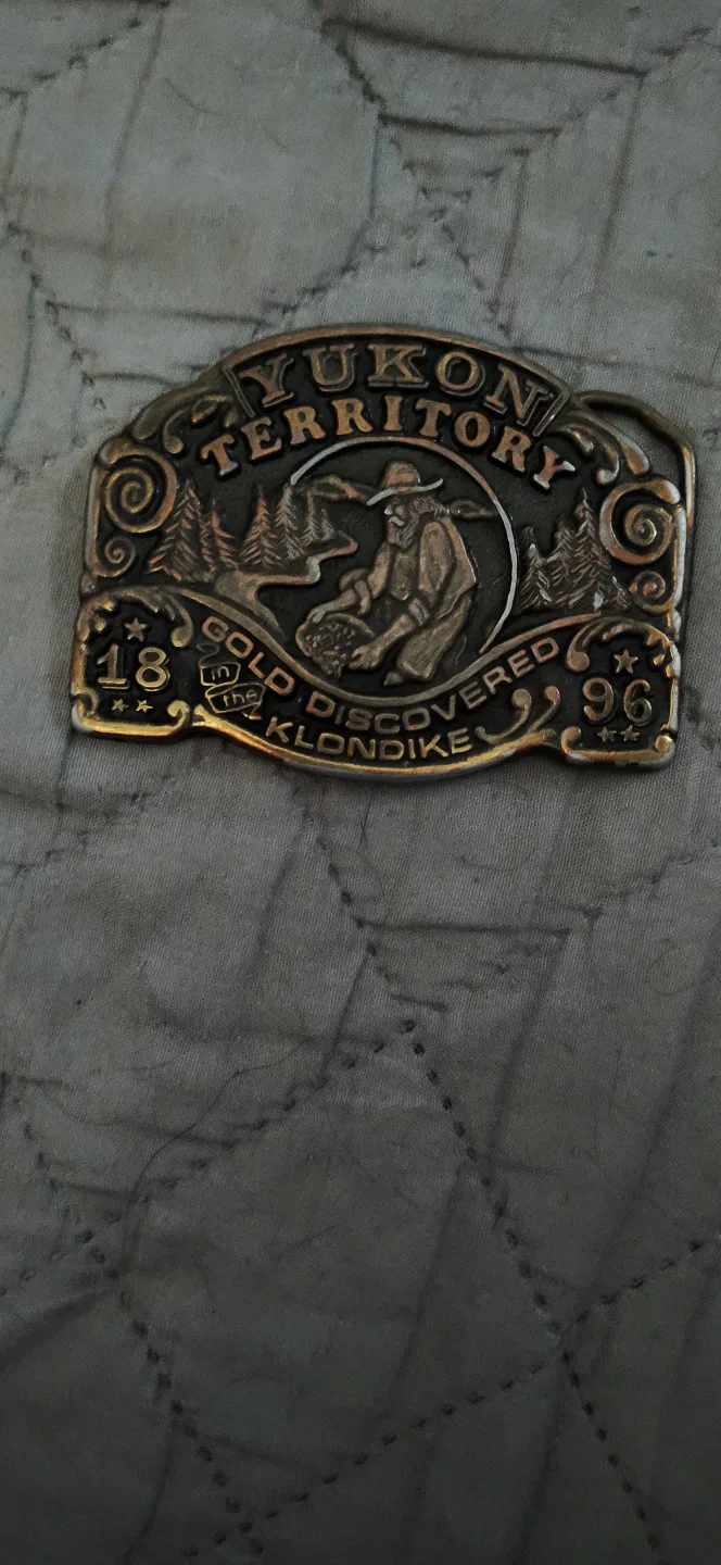 Belt buckles image indicator(7)