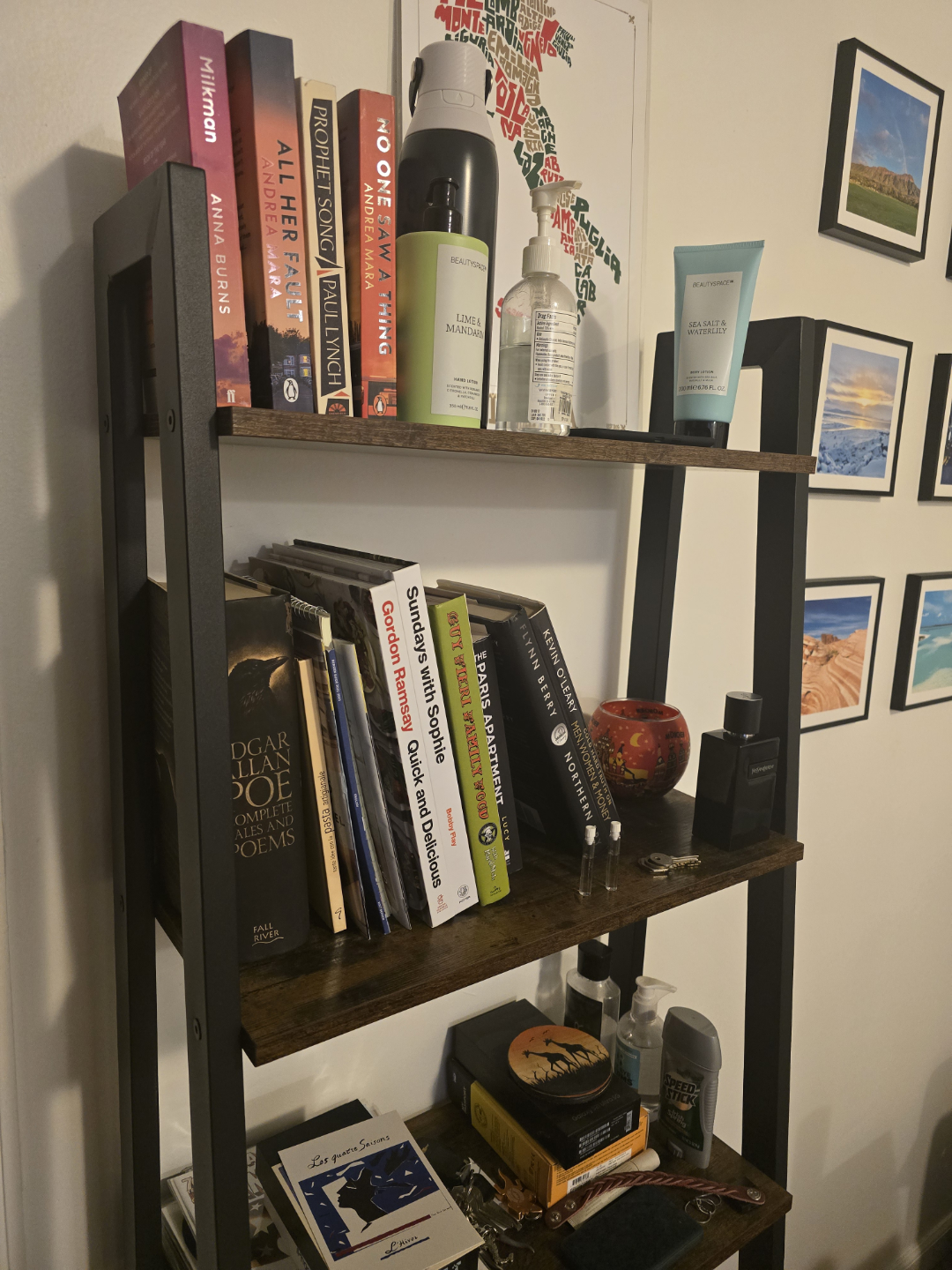 5-Tier Ladder Shelf Bookcase
