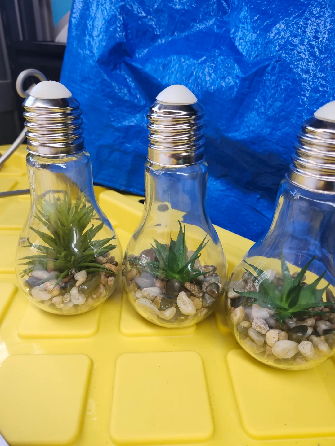 Three Lightbulb Terrariums with Artificial Plants that light up thumbnail