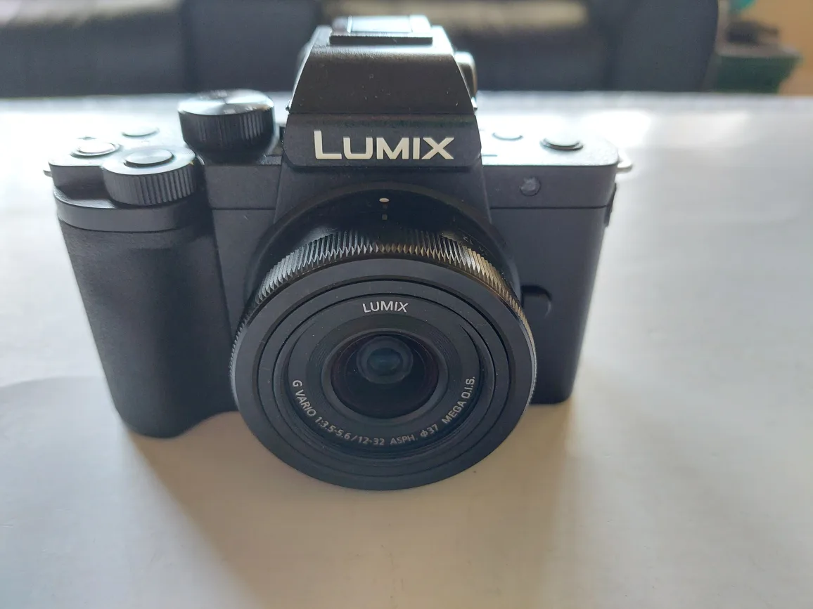 Panasonic Lumix G100 Mirrorless Camera image indicator(7)