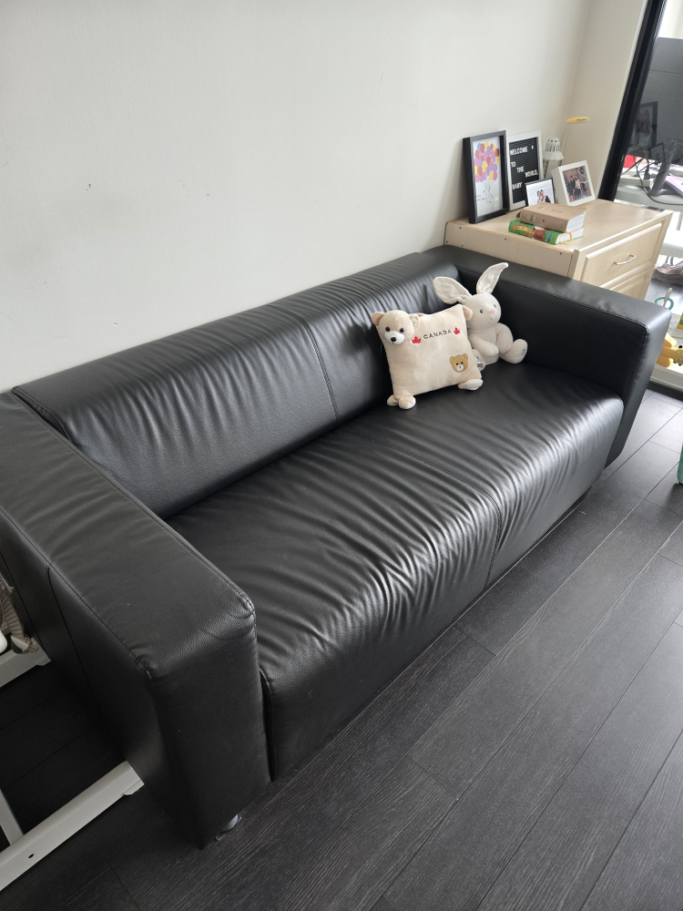 Black Leather Sofa