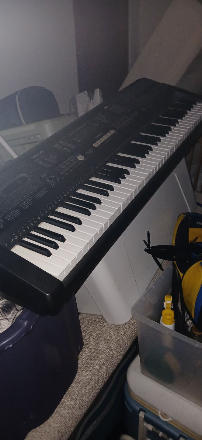 Casio WK-110 Keyboard