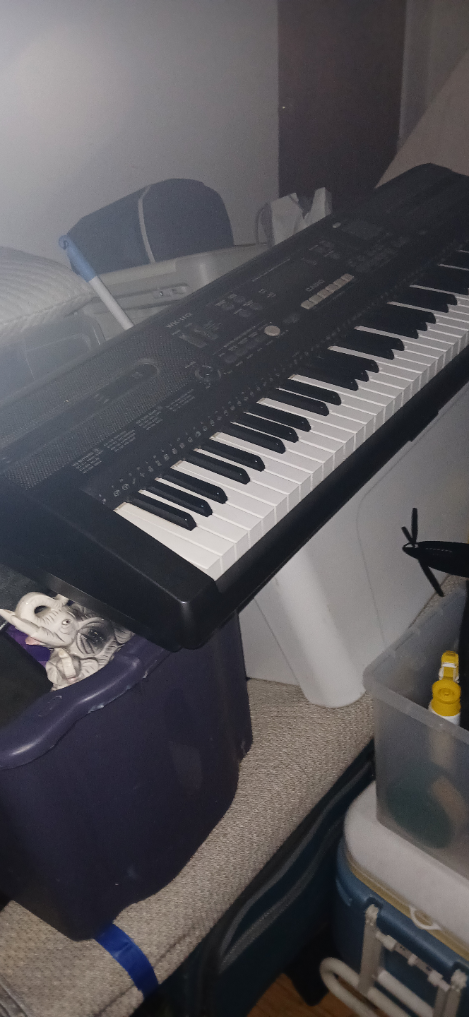 Casio WK-110 Keyboard - photo 2