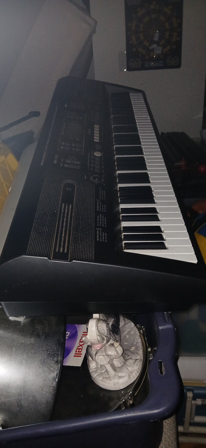 Casio WK-110 Keyboard - photo 3