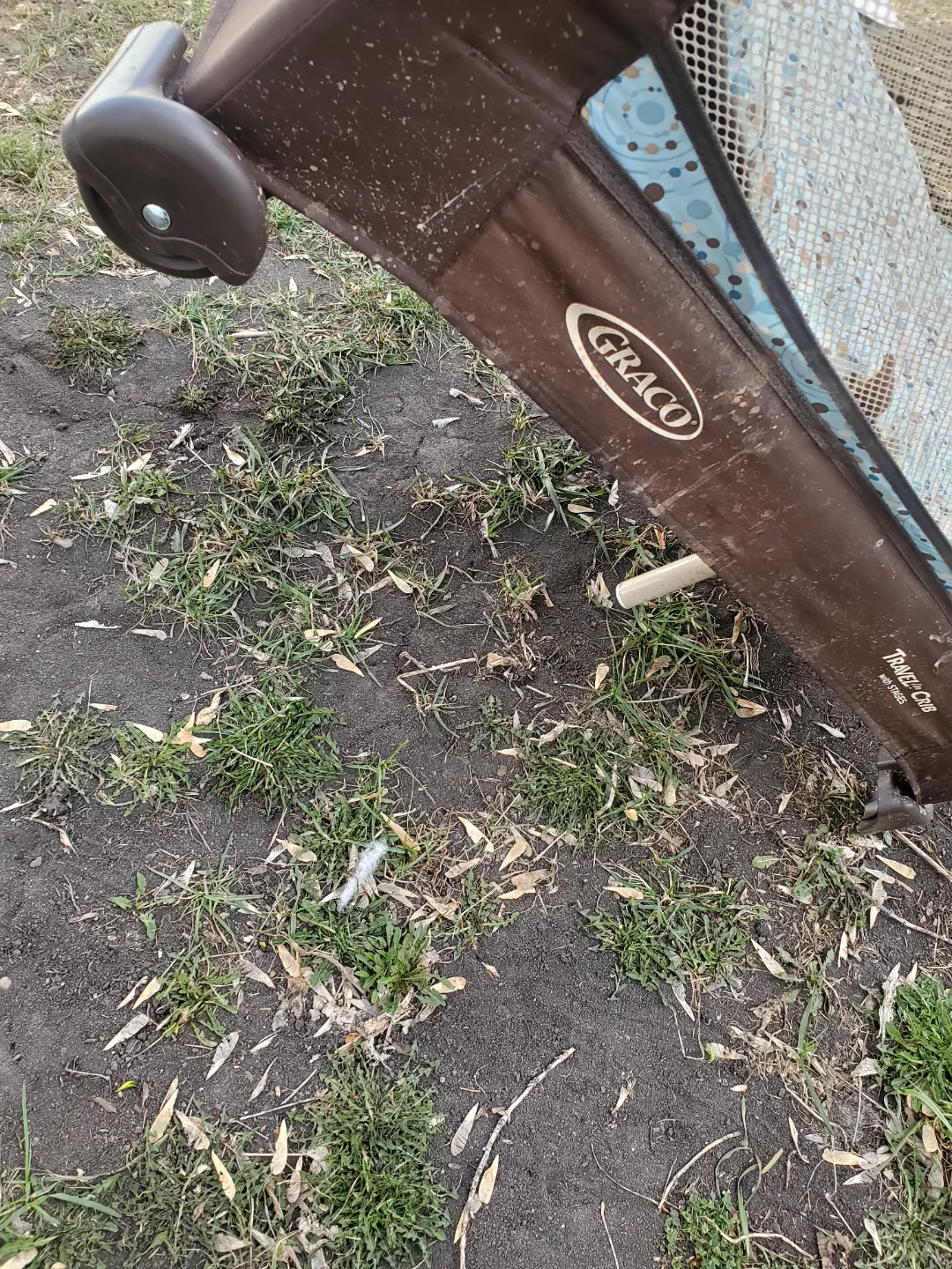 Two Play & Go Portable Playards(price 4 each one) image indicator(7)