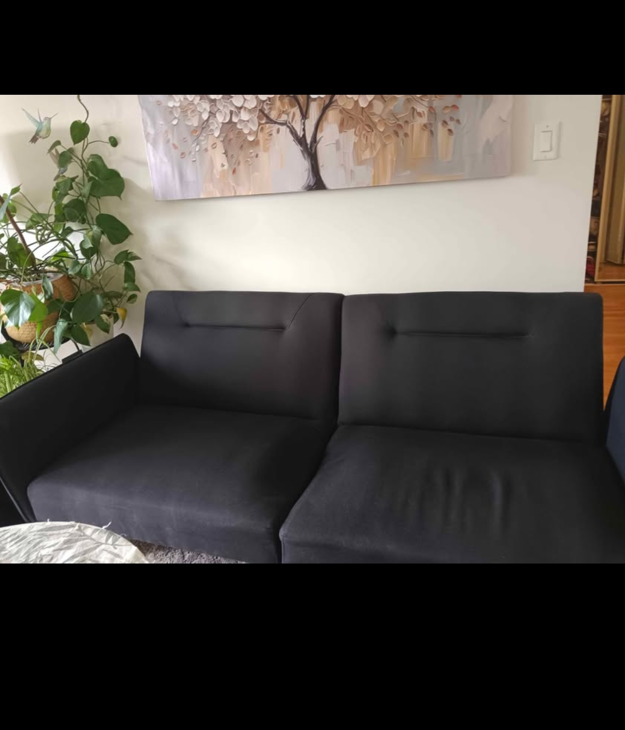 Futon Sofa Bed