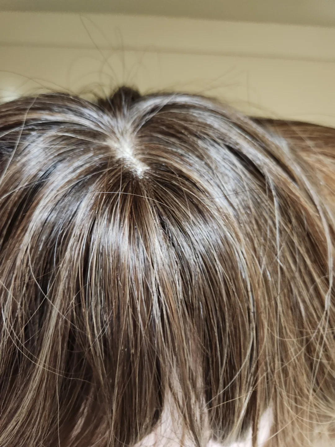 Brunette Wig with a Ponytail Wig Set image indicator(3)