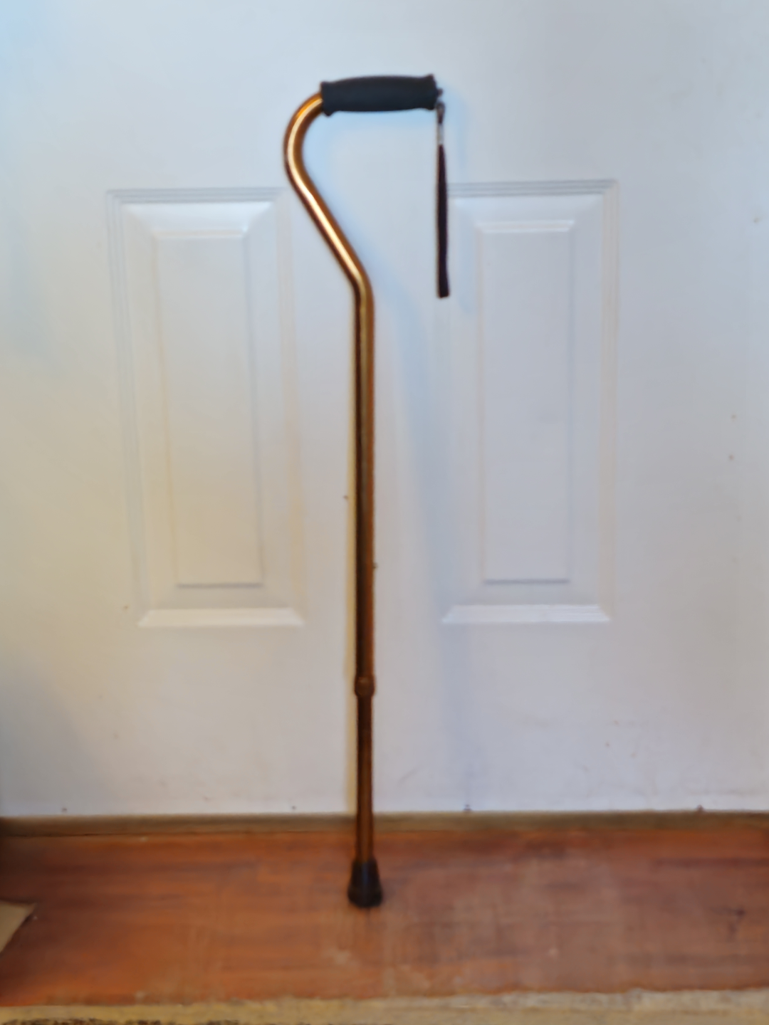 Lightweight adjustable cane