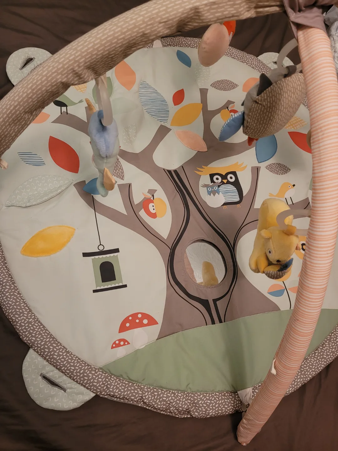 *Like New* Skip-Hop 3-in-1 Activity Gym image indicator(3)