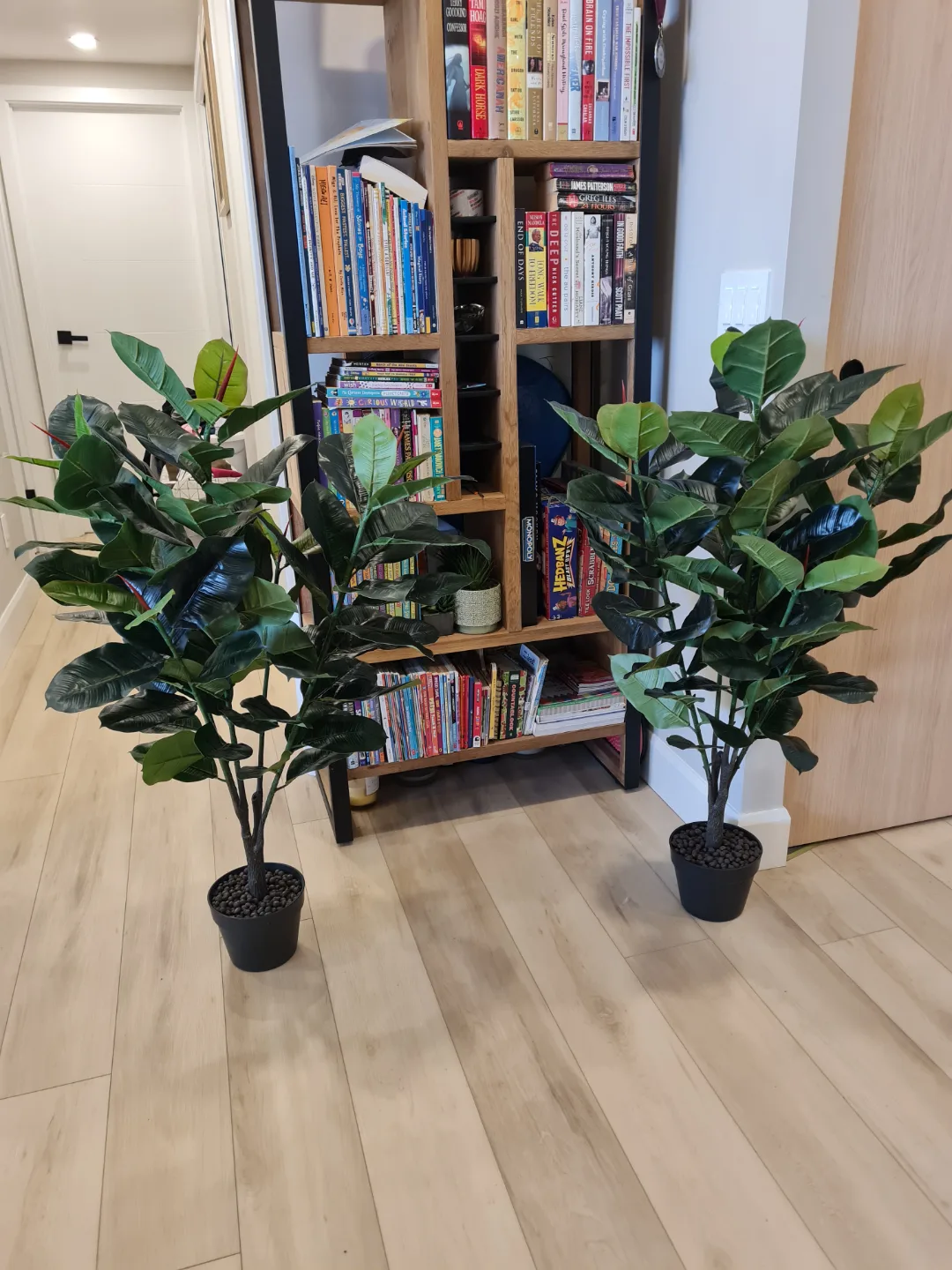 Two Artificial Rubber Plants thumbnail