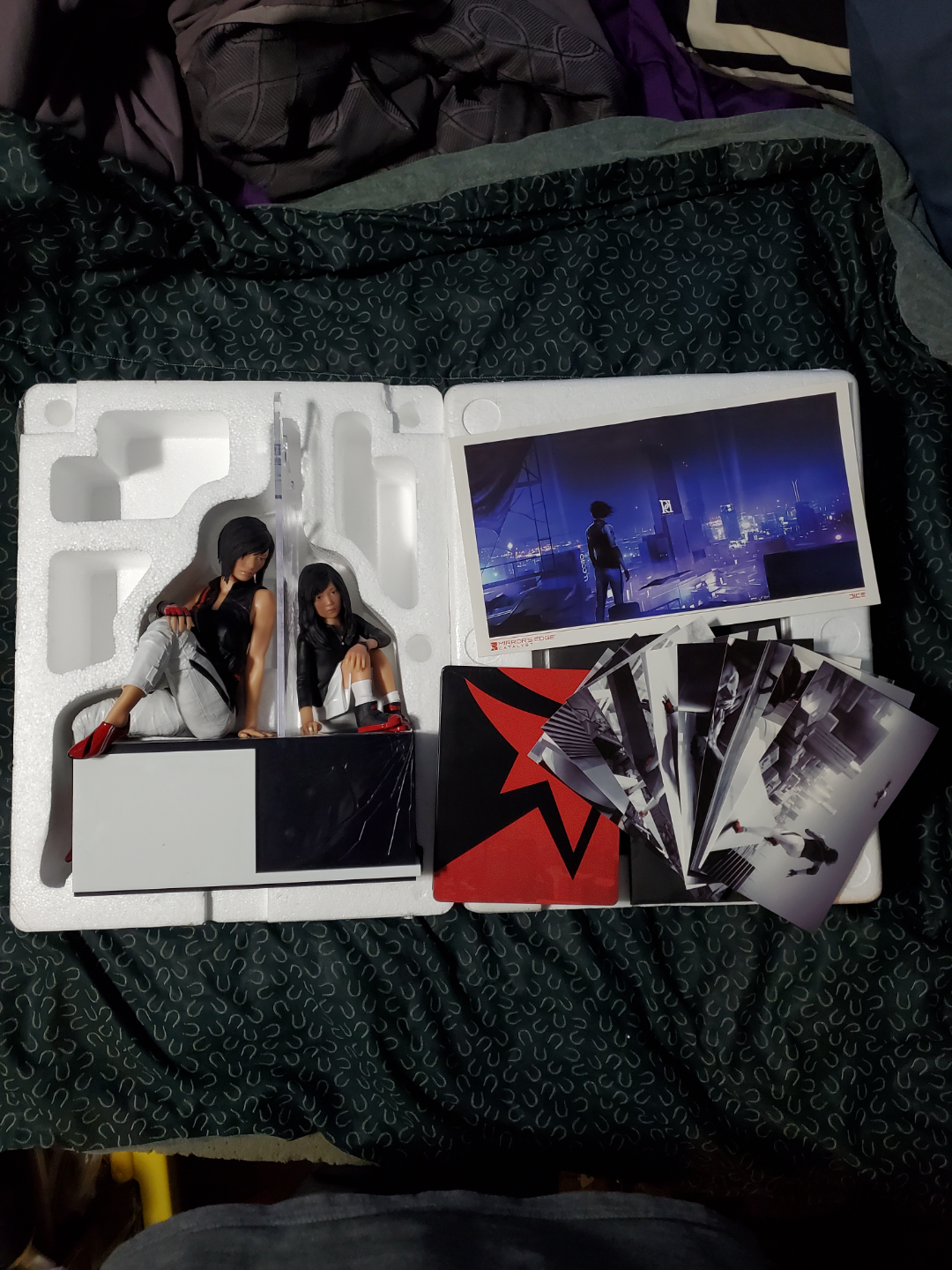Mirror's Edge Catalyst Figure (With Case & Pictures)