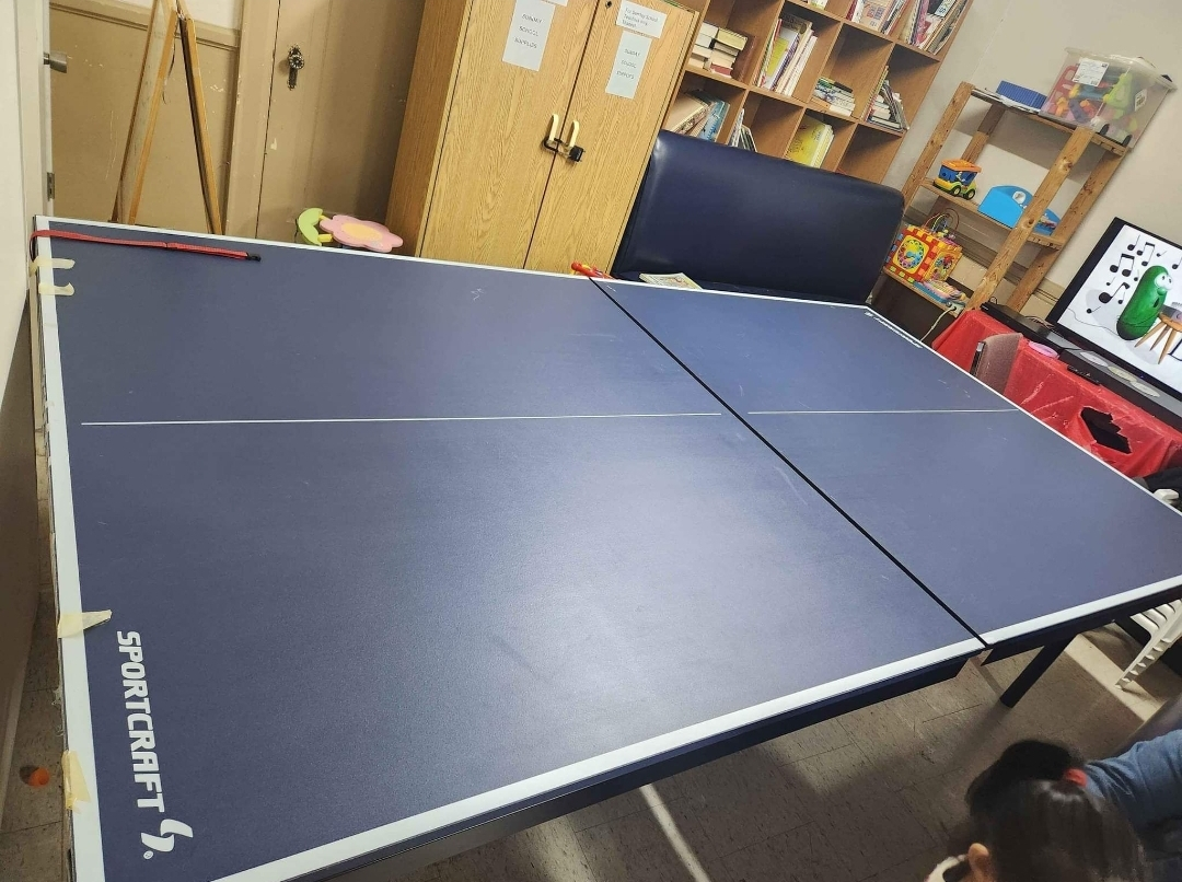 Sportcraft Ping Pong Table - photo 4