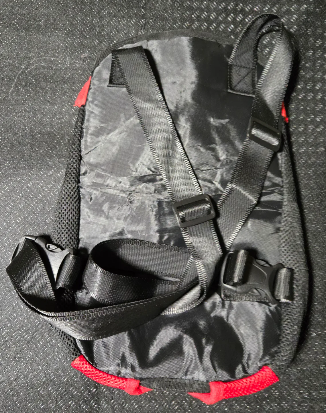 Pet Carrier Backpack - Red - Size L image indicator(2)