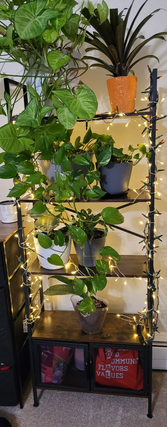 5-Tier Black Metal Plant Stand with String Lights