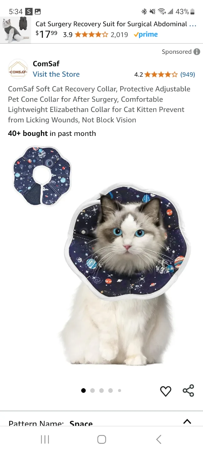 Pet Toy Bundle - Parrot, Kong Toy, Cat Harness, and More! image indicator(7)