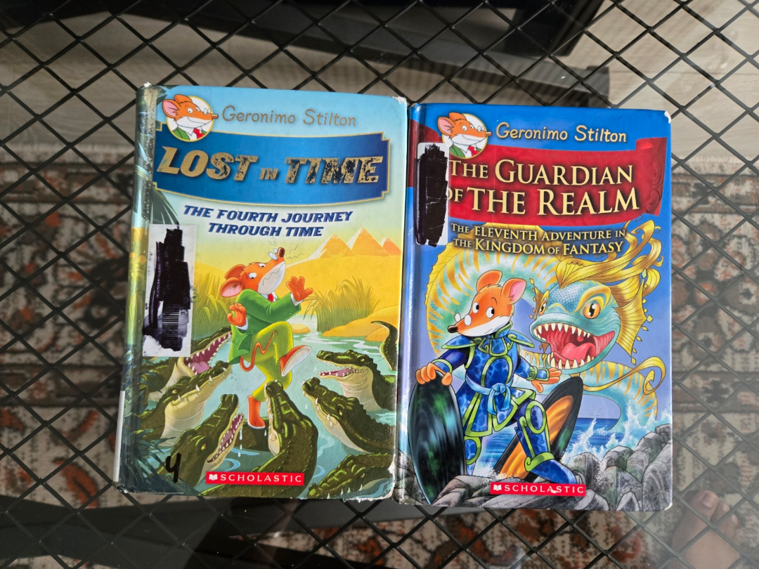 Lot of 12 Geronimo Stilton Chapter Books - photo 3