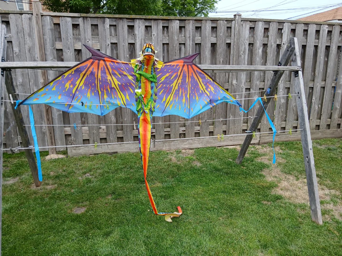 Nylon Dragon Kite thumbnail