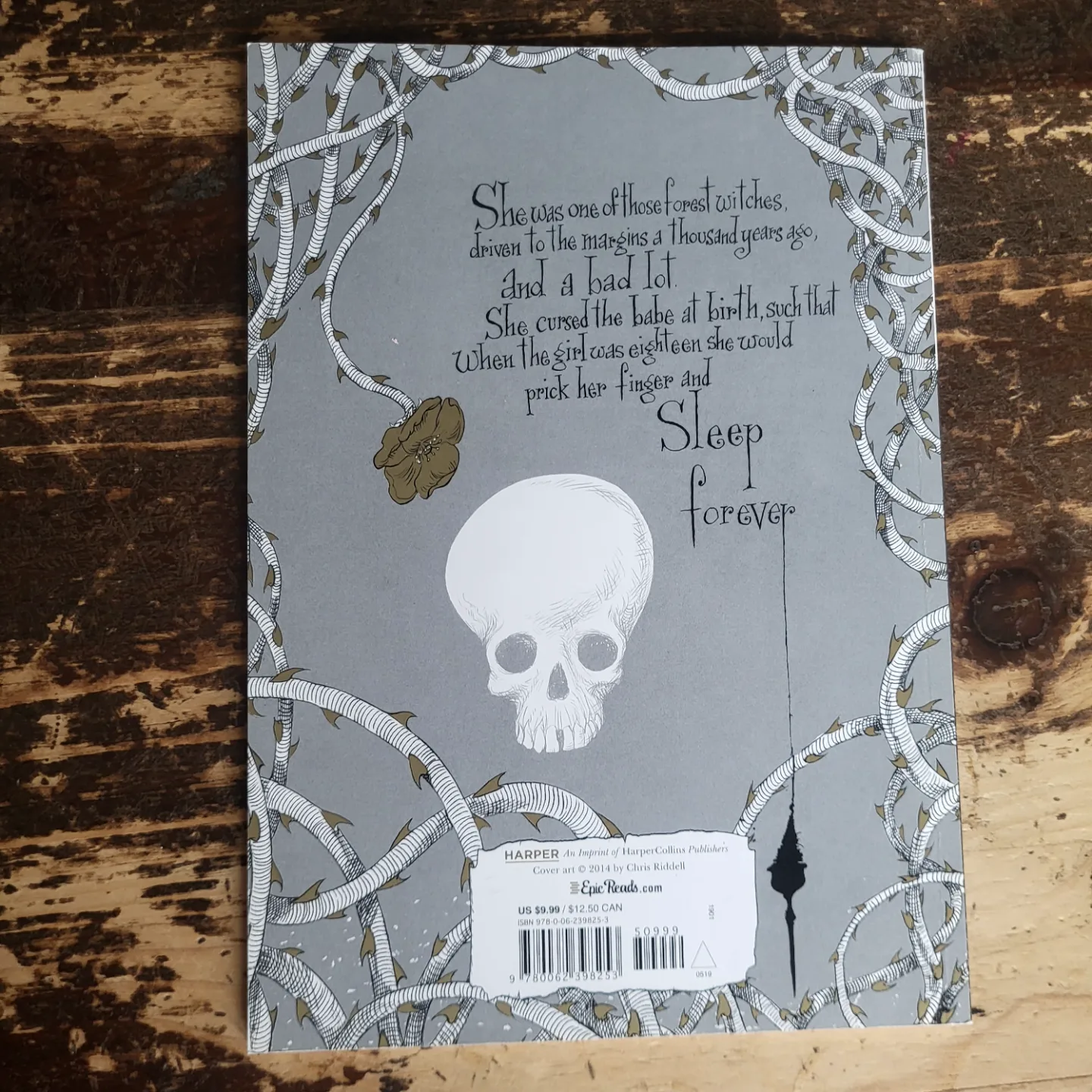 Neil Gaiman's The Sleeper and the Spindle image indicator(2)