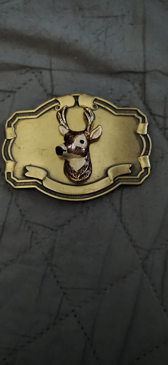 Belt buckles image indicator(3)