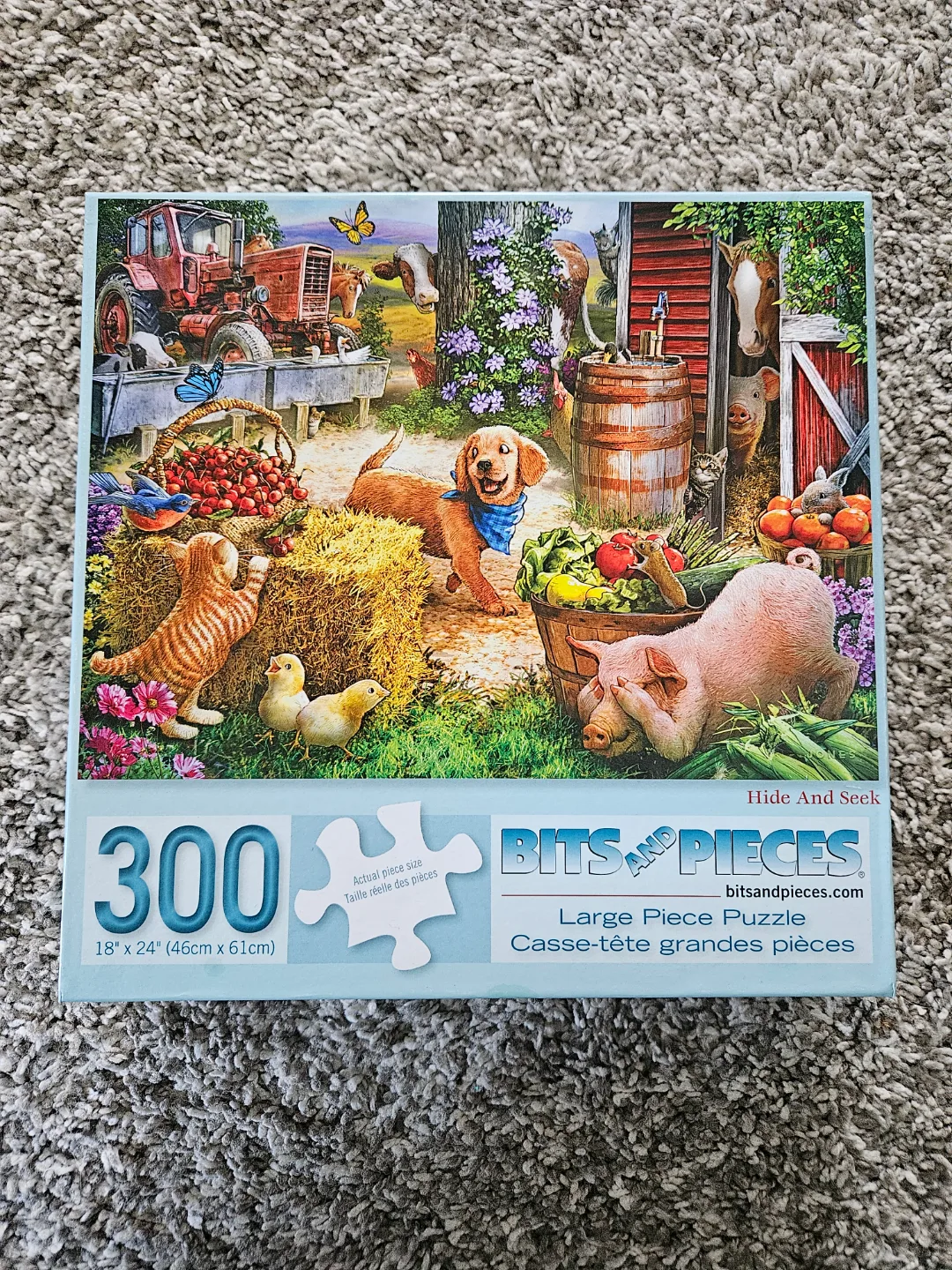 Bits and Pieces 300-Piece Large Piece Puzzle thumbnail