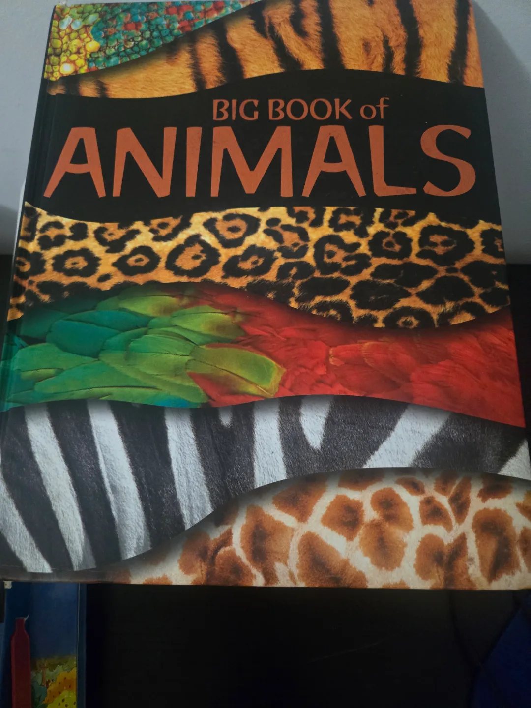 Children's Book Bundle - LEGO, Scholastic & More! image indicator(5)