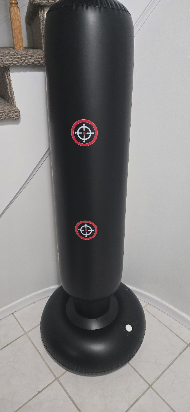 Inflatable Punching Bag