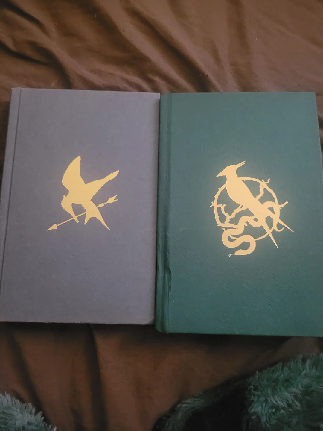 The Hunger Games & Ballad of Songbirds and Snakes image indicator(2)