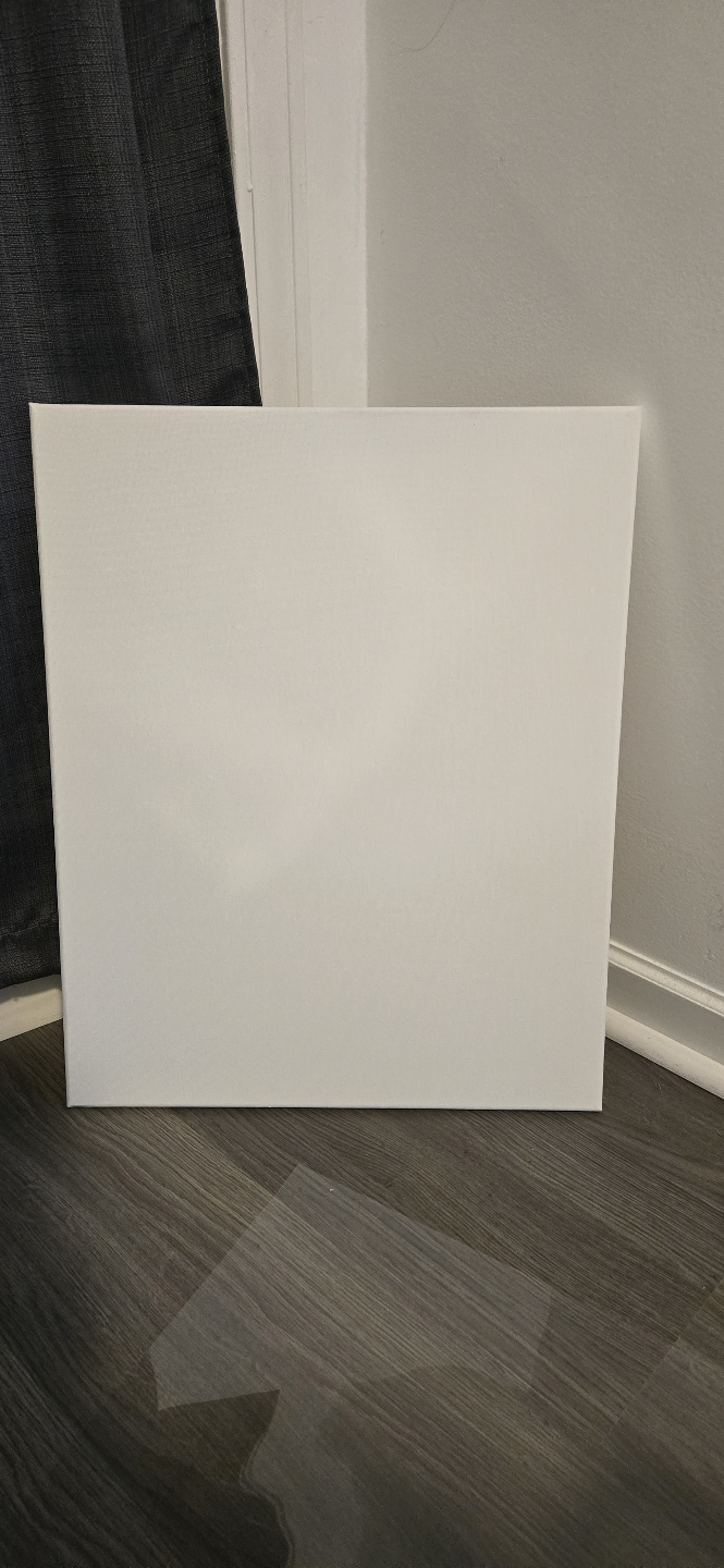 16" × 20" Artist Loft Canvas (4 available!)