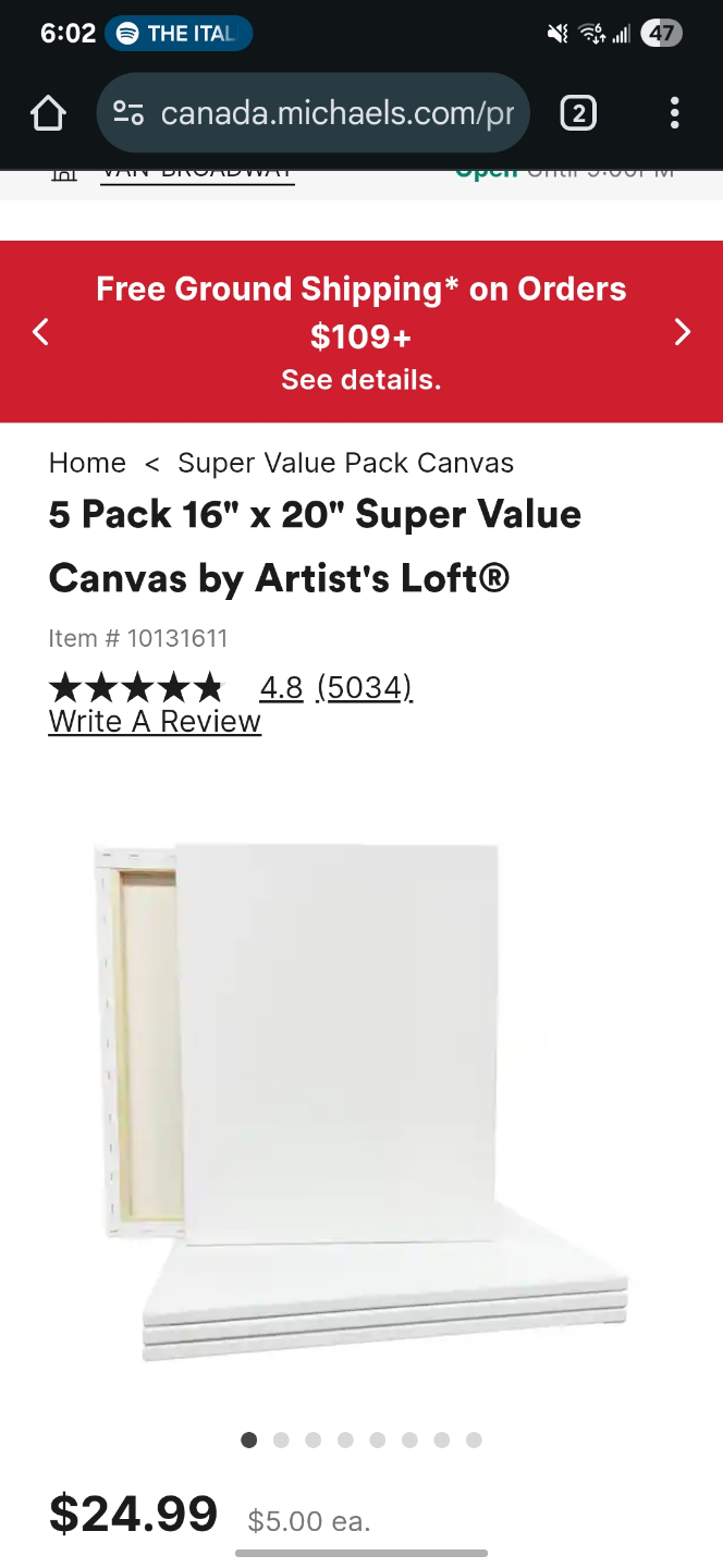 16" × 20" Artist Loft Canvas (4 available!) - photo 2