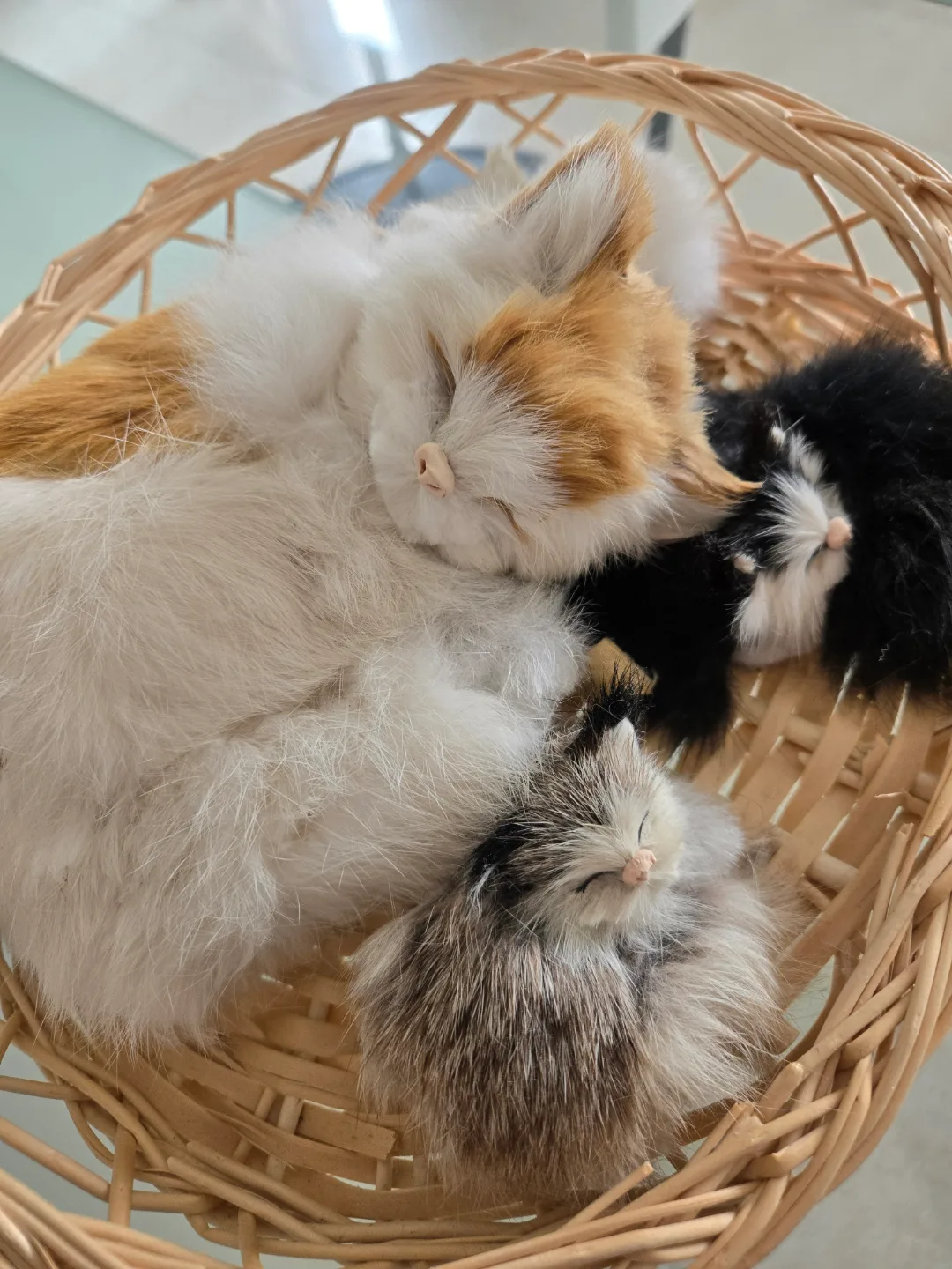 Adorable Sleeping Kittens in Basket image indicator(4)