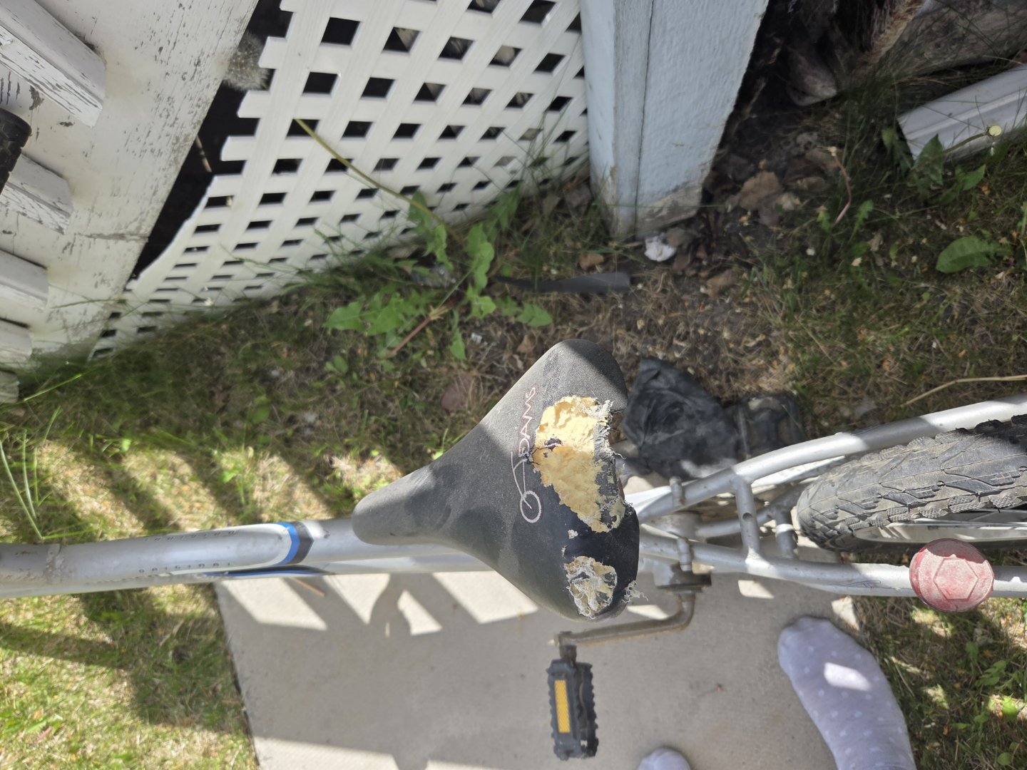 Trail-a-bike - photo 2
