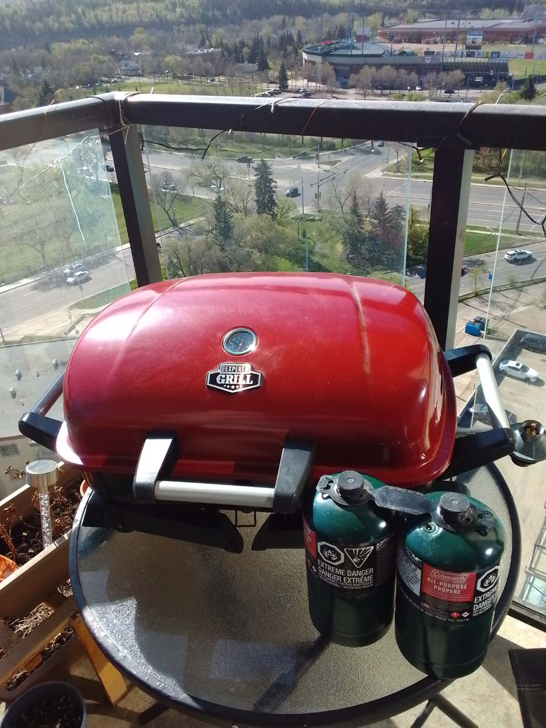 Expert Grill Red Portable Gas BBQ