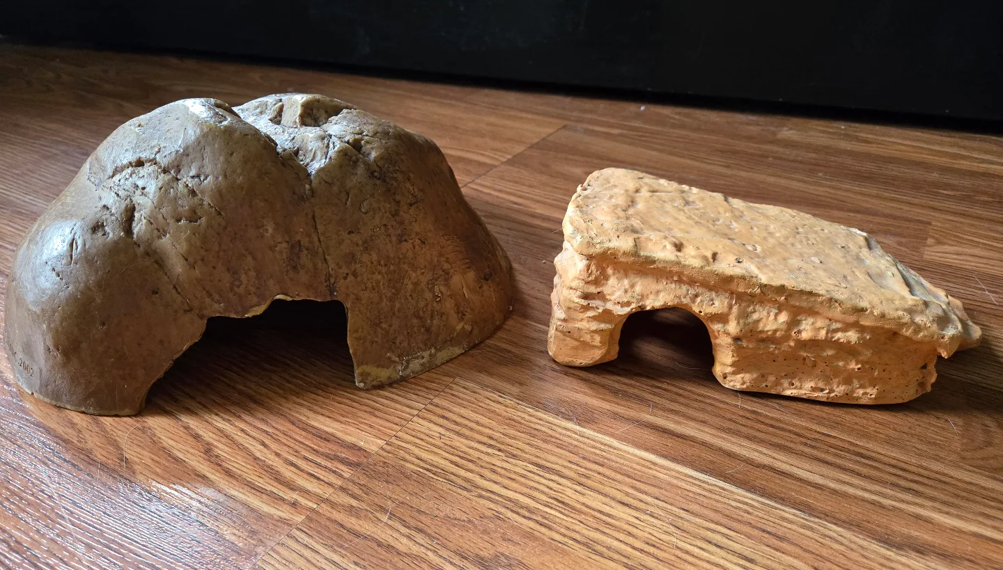 FREE Reptile Accessories 🐍🦎 image indicator(2)