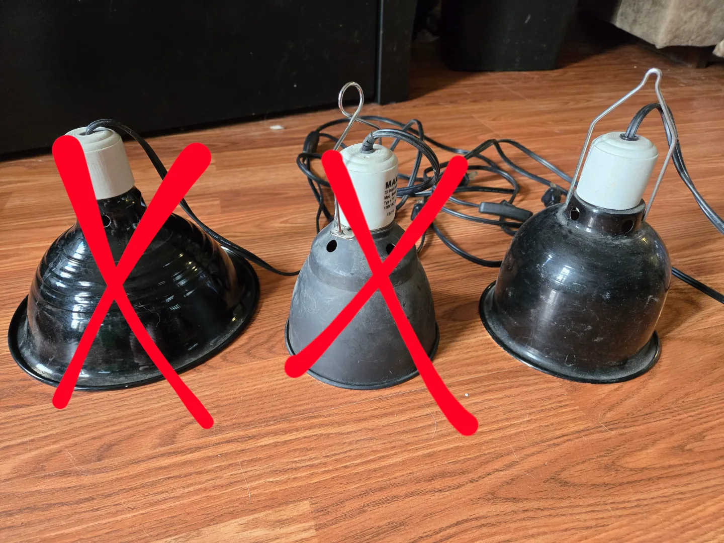 FREE Reptile Accessories 🐍🦎 image indicator(4)