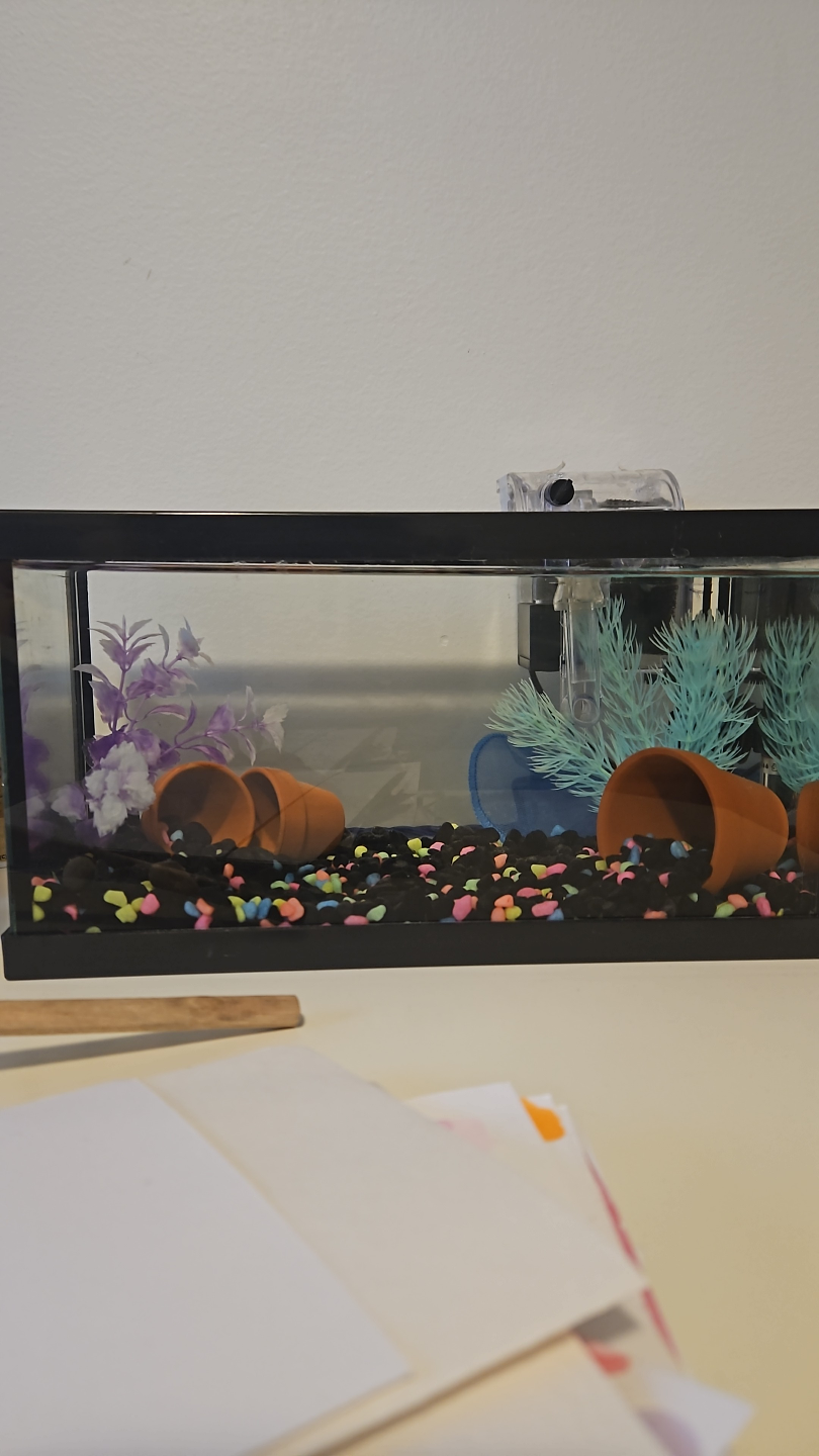 Aquarium Masters Small Fish Tank - photo 3