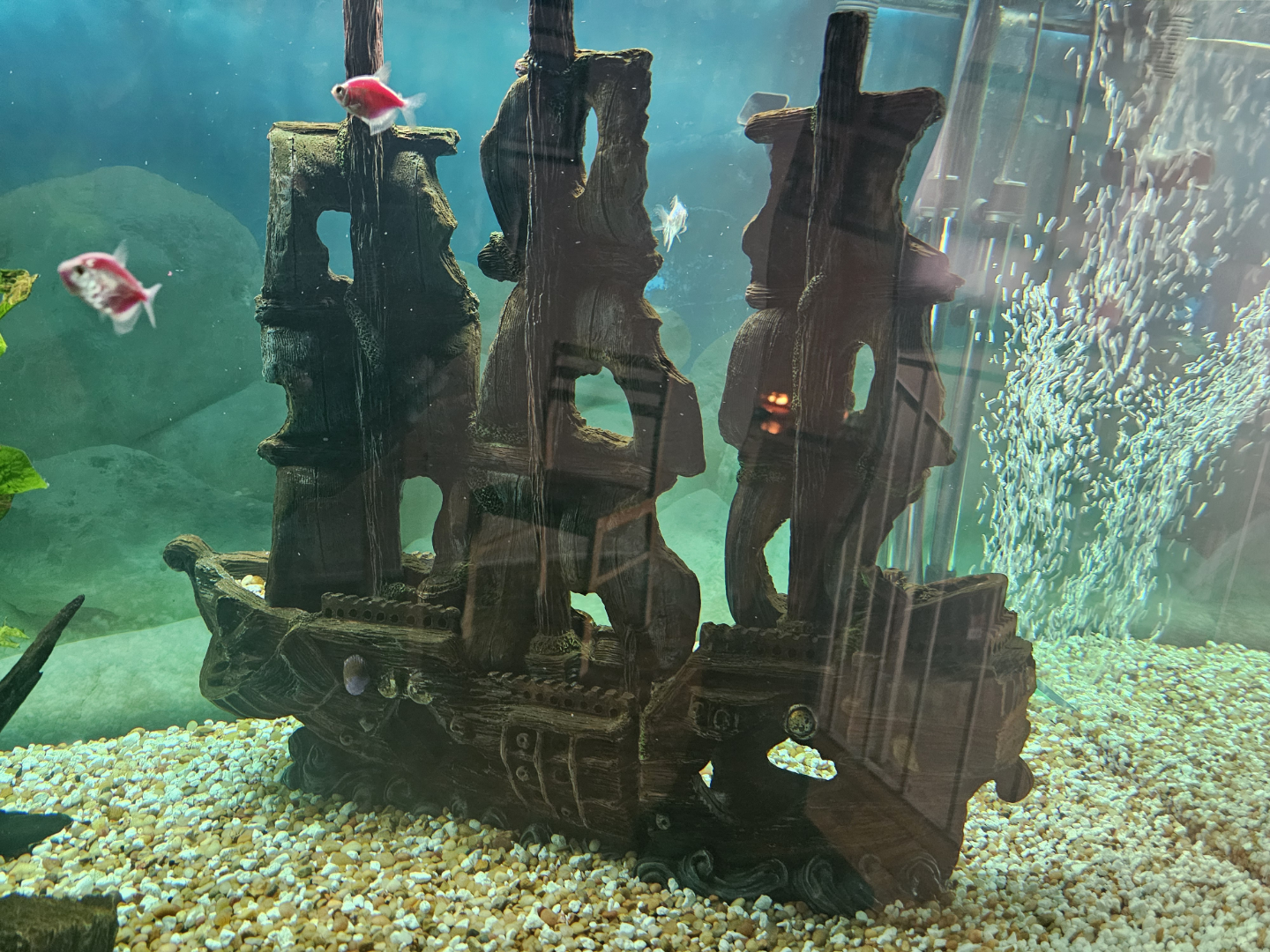Fish Tank with Stand, Decorations, and Accessories - photo 2