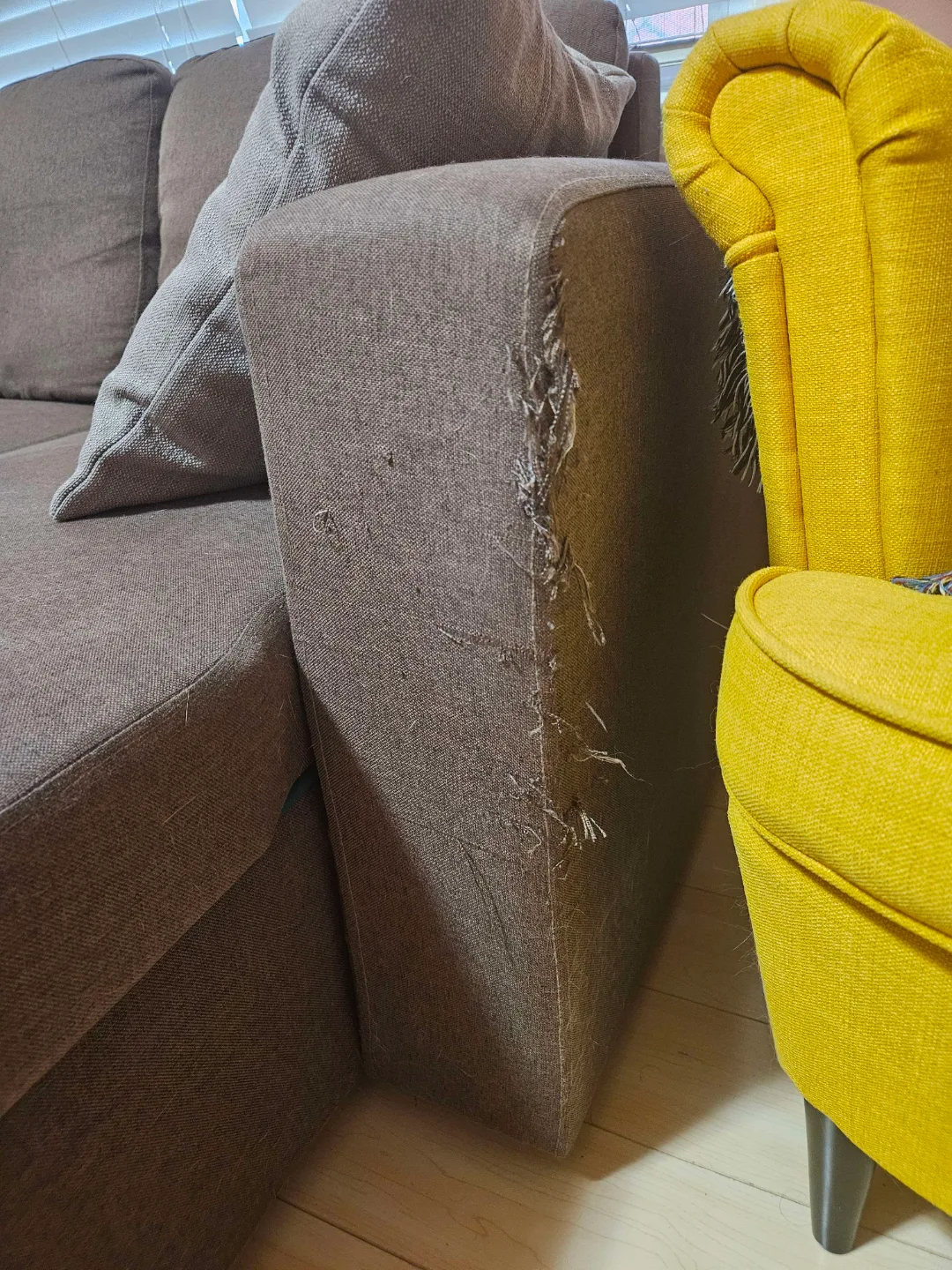 Pull out couch image indicator(6)