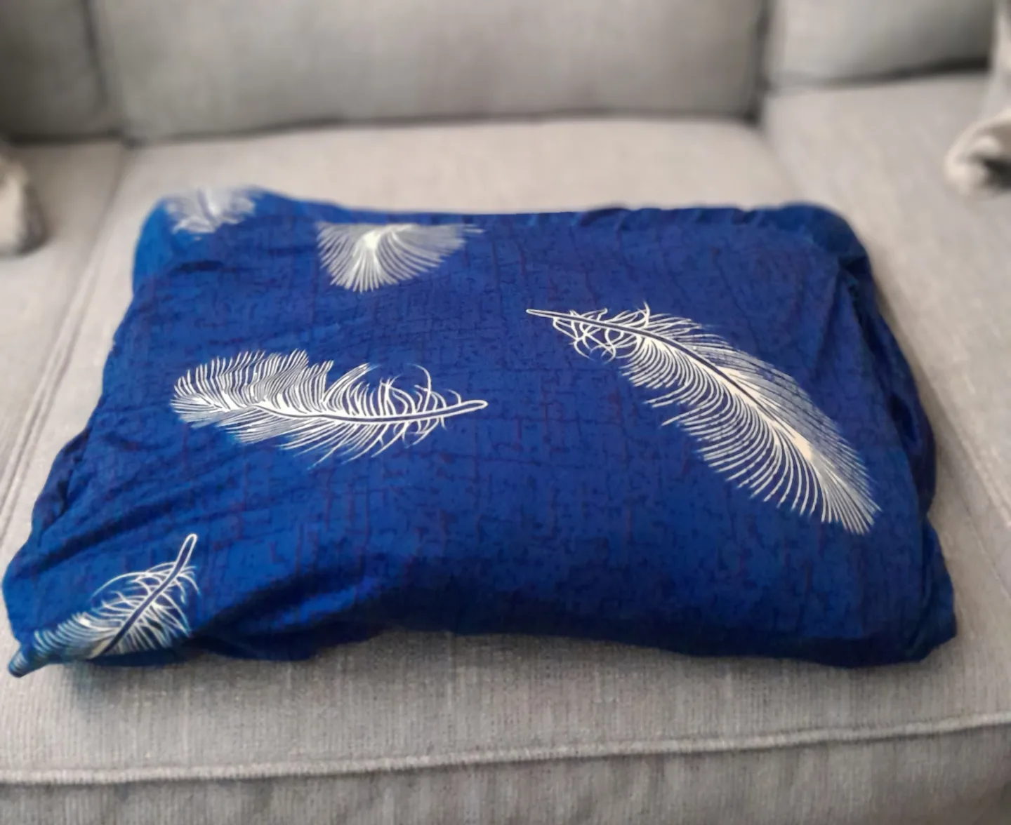 Sofa Cover #freecycle thumbnail